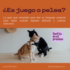 ¿Es juego o pelea?