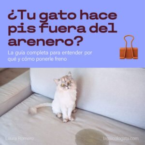 Pipí fuera del arenero
