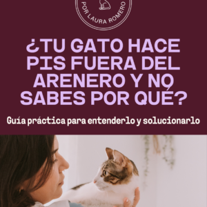 Pipí fuera del arenero