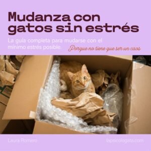 Guía para mudarte sin estrés